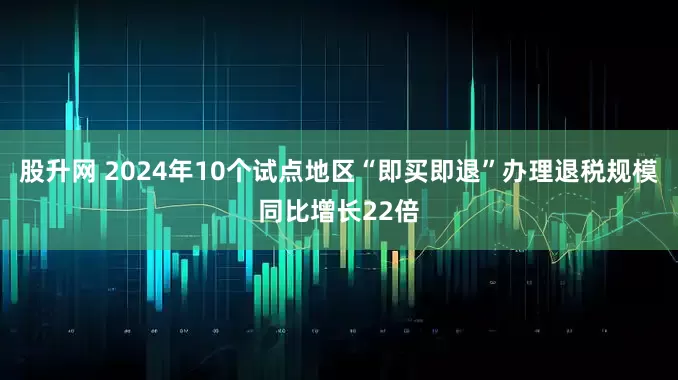 股升网 2024年10个试点地区“即买即退”办理退税规模同比增长22倍