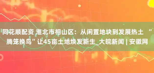 同花顺配资 淮北市相山区：从闲置地块到发展热土  “腾笼换鸟”让45亩土地焕发新生_大皖新闻 | 安徽网